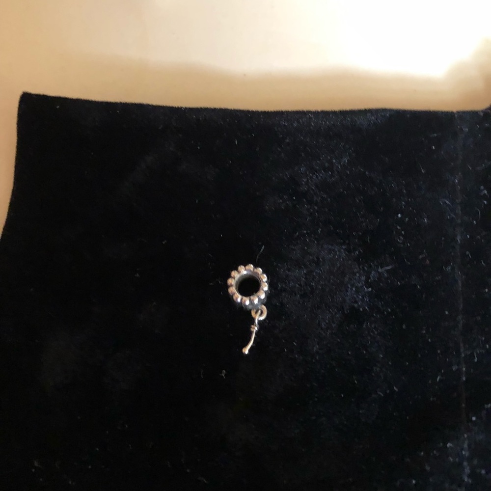 Authentic SS Pandora charm
